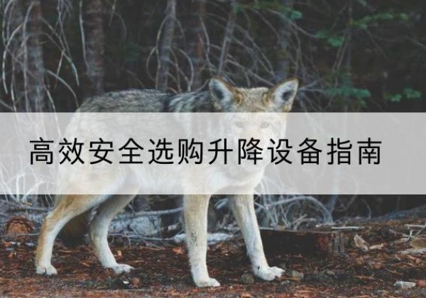 大姚升降货梯厂家推荐-*安全选购升降设备指南