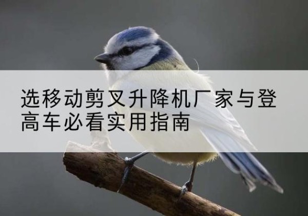 大姚电动升降机厂家-选移动剪叉升降机厂家与登高车必看实用指南