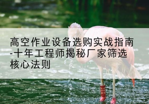 大姚剪叉式升降机厂家-高空作业设备选购实战指南-十年工程师揭秘厂家筛选核心法则